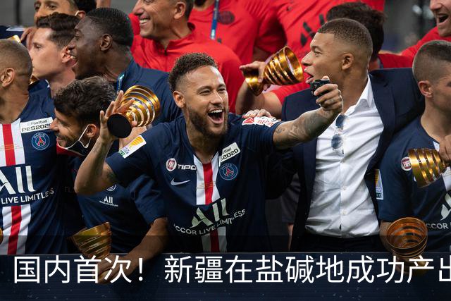国内首次！新疆在盐碱地成功产出天然橡胶，我国将变成橡胶大国？